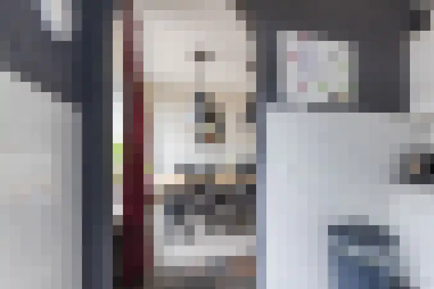 De Voren 1 Hapert thumbnail 20