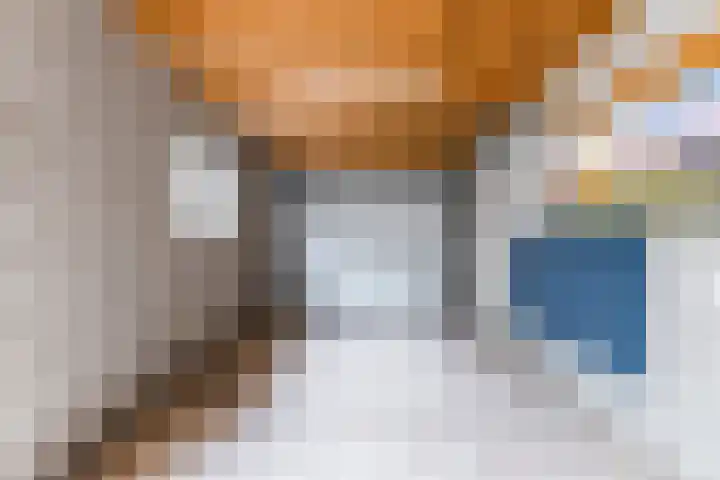 De Voren 1 Hapert thumbnail 38