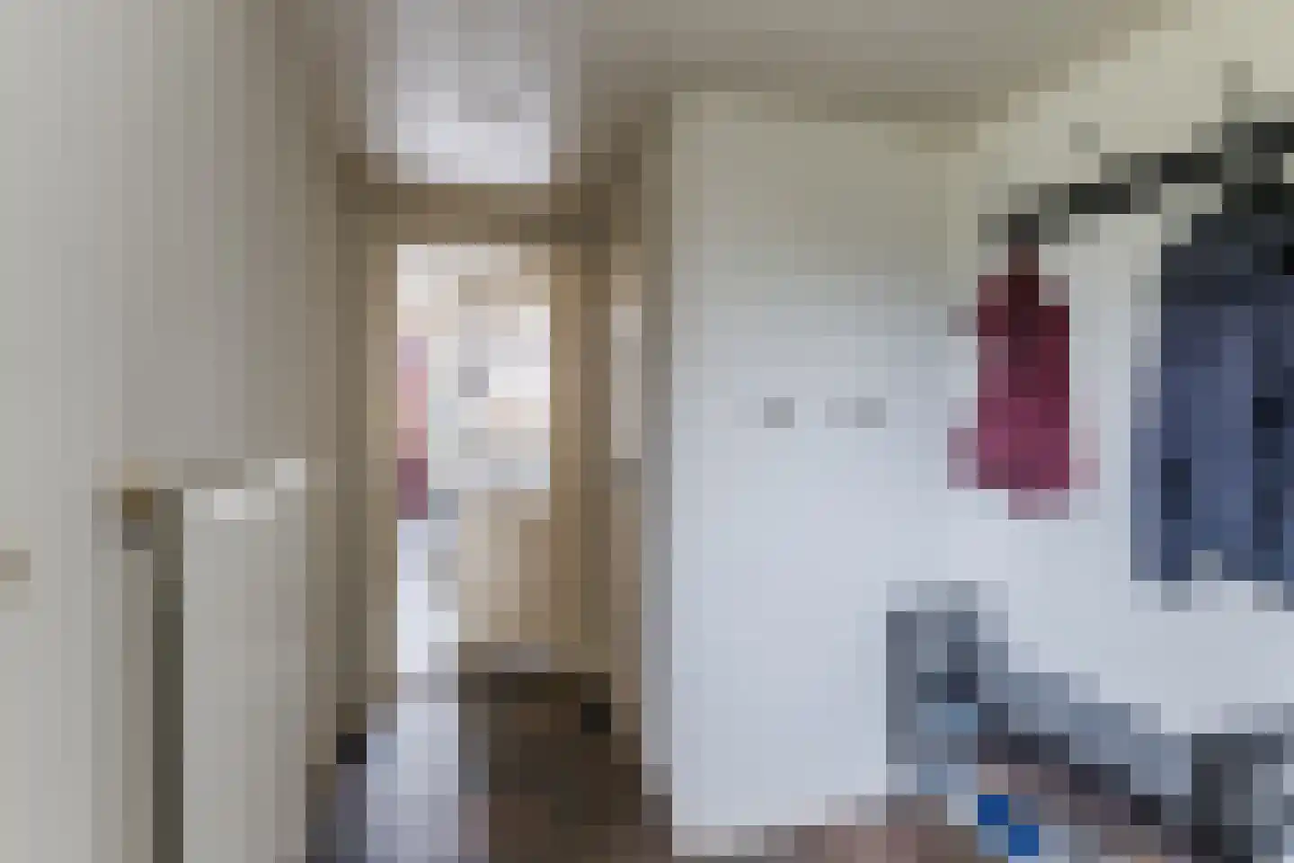 De Voren 1 Hapert thumbnail 4