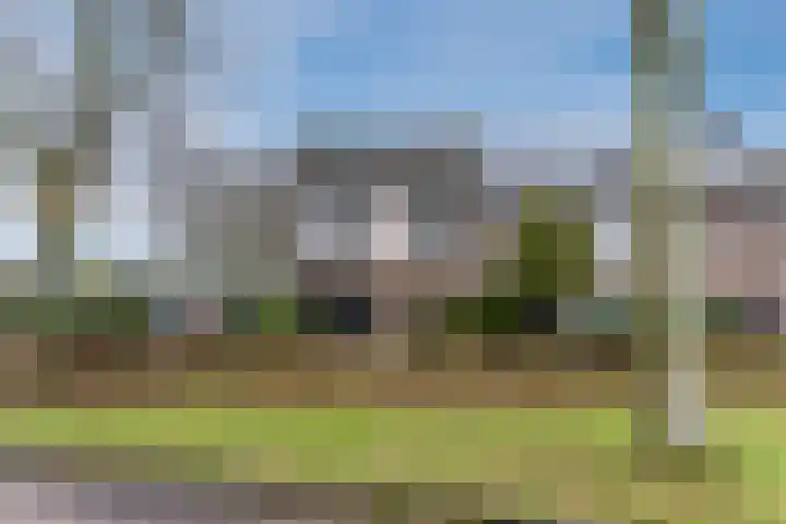 De Voren 1 Hapert thumbnail 40