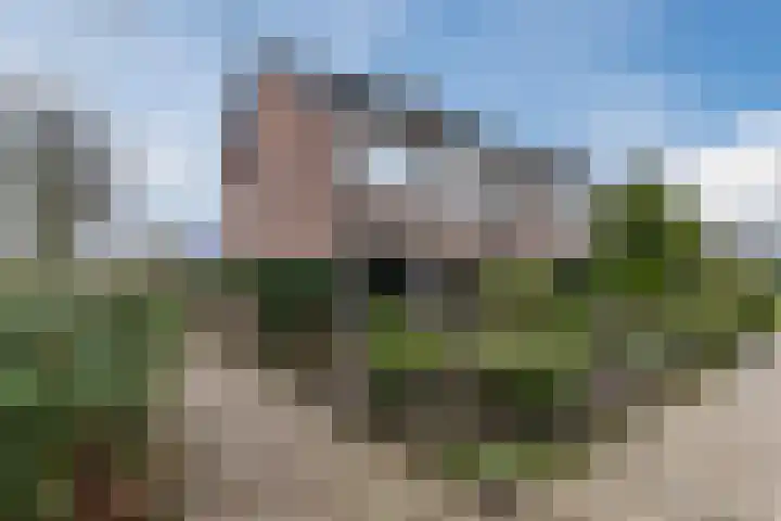 De Voren 1 Hapert thumbnail 42