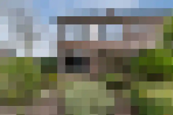 De Voren 1 Hapert thumbnail 43