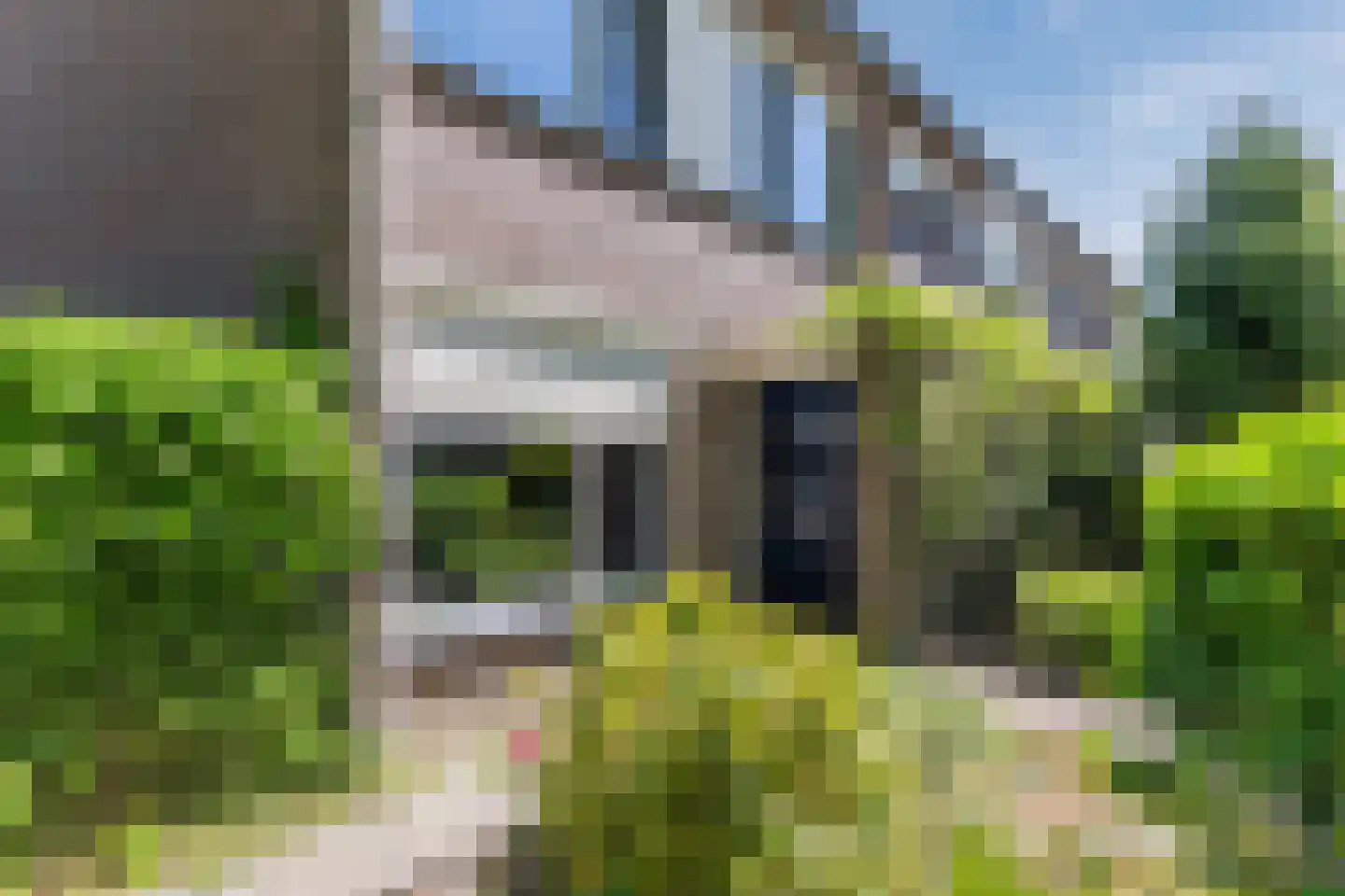 De Voren 1 Hapert thumbnail 45