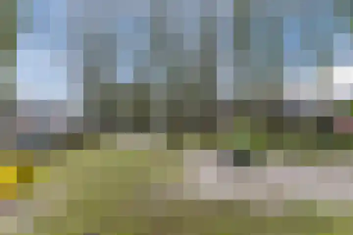 De Voren 1 Hapert thumbnail 46