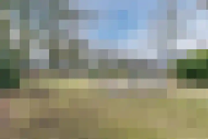 De Voren 1 Hapert thumbnail 47