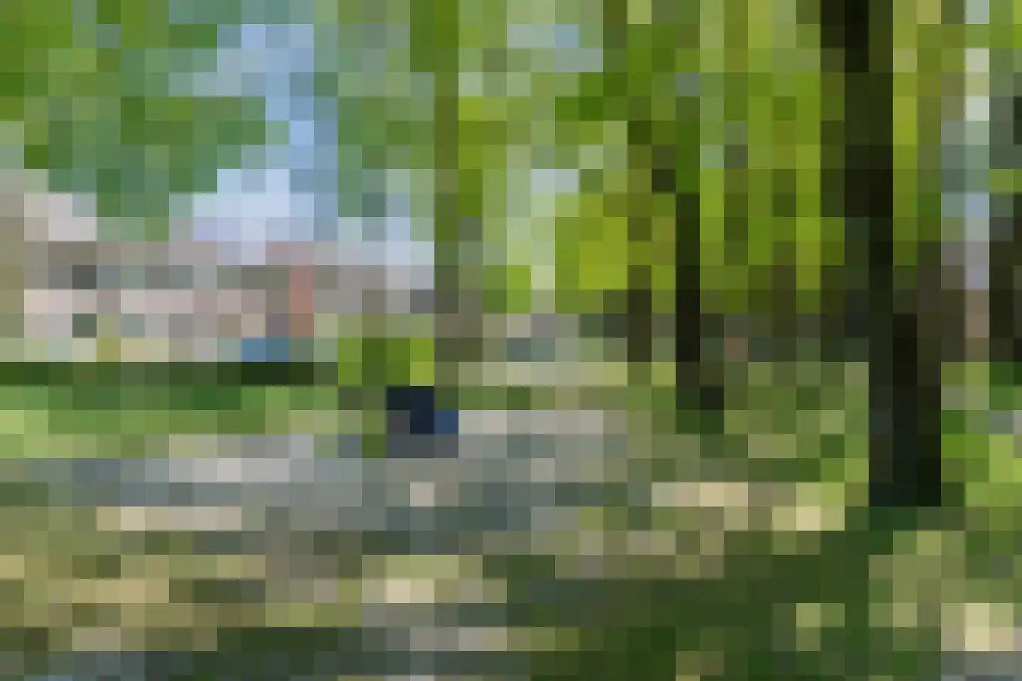 De Voren 1 Hapert thumbnail 48