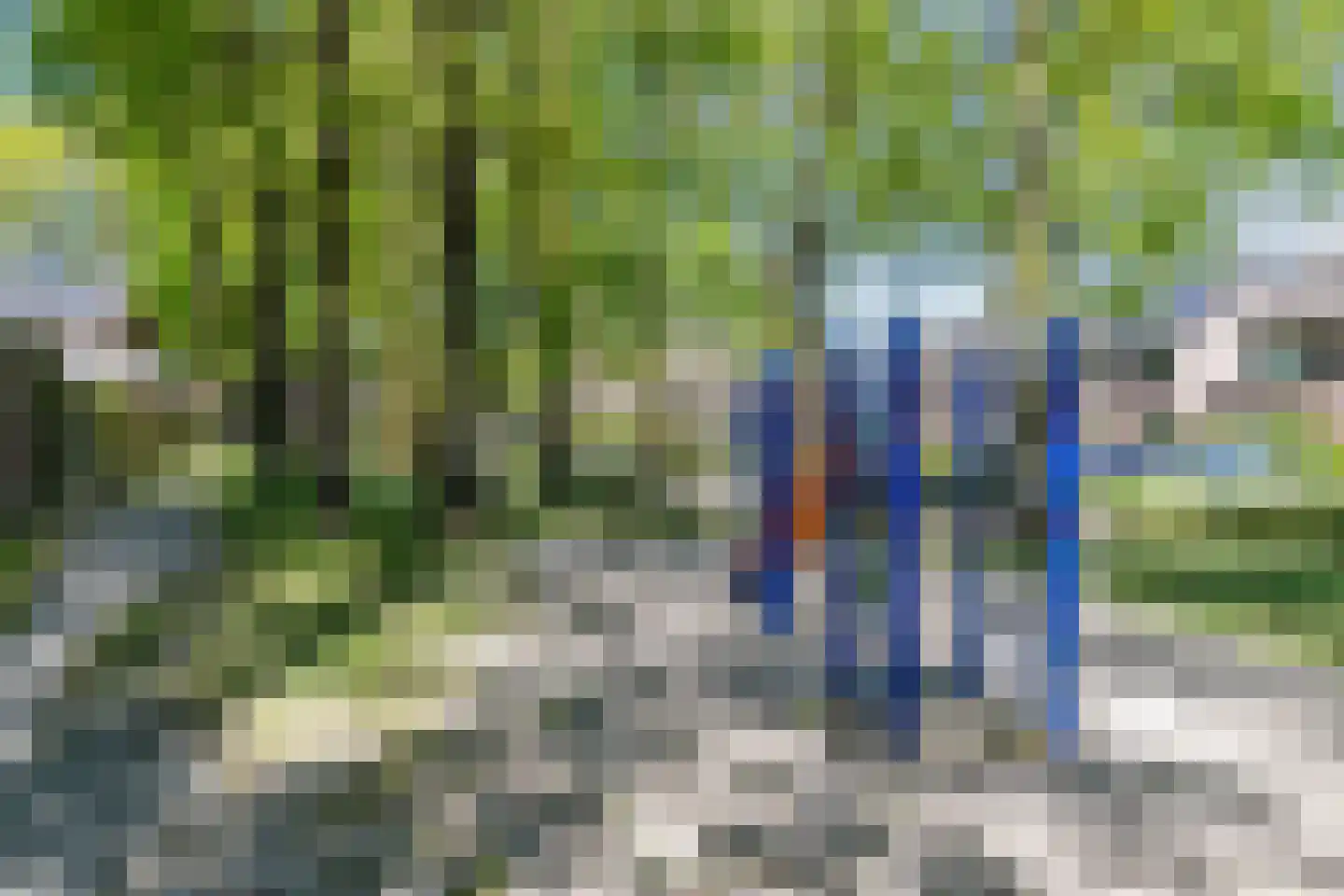 De Voren 1 Hapert thumbnail 49