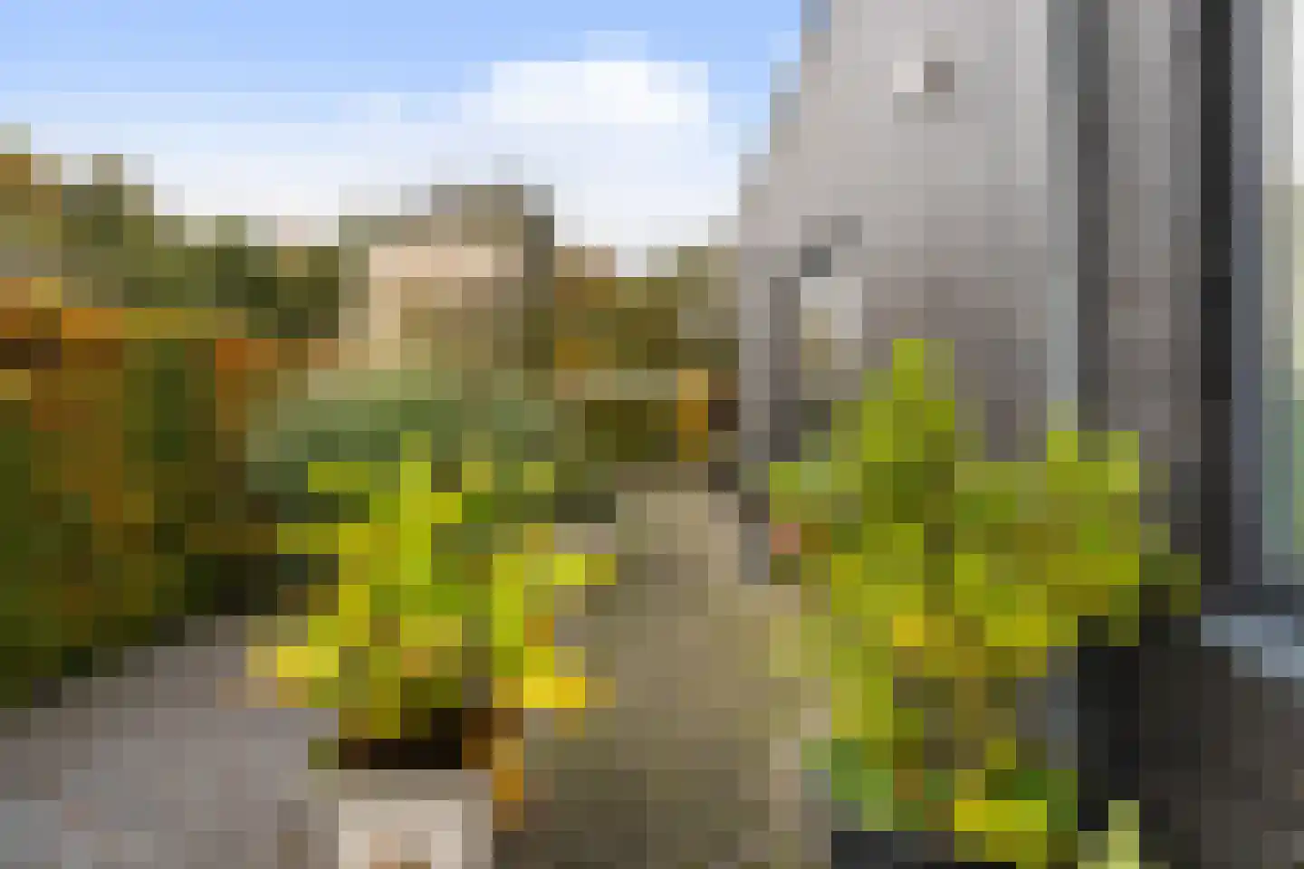De Voren 1 Hapert thumbnail 5