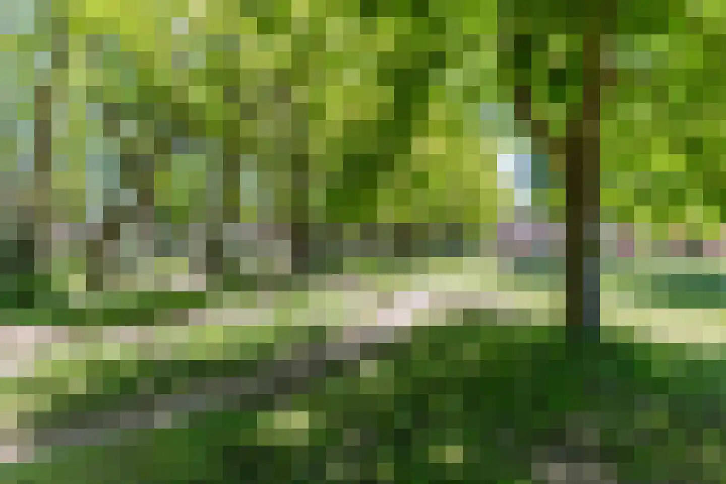 De Voren 1 Hapert thumbnail 50