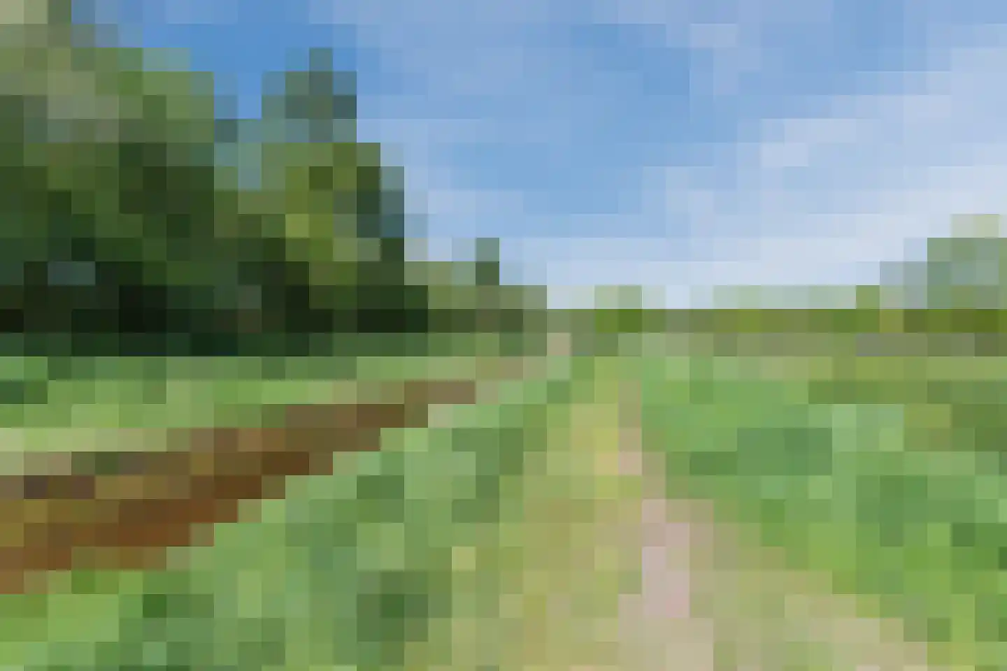 De Voren 1 Hapert thumbnail 53