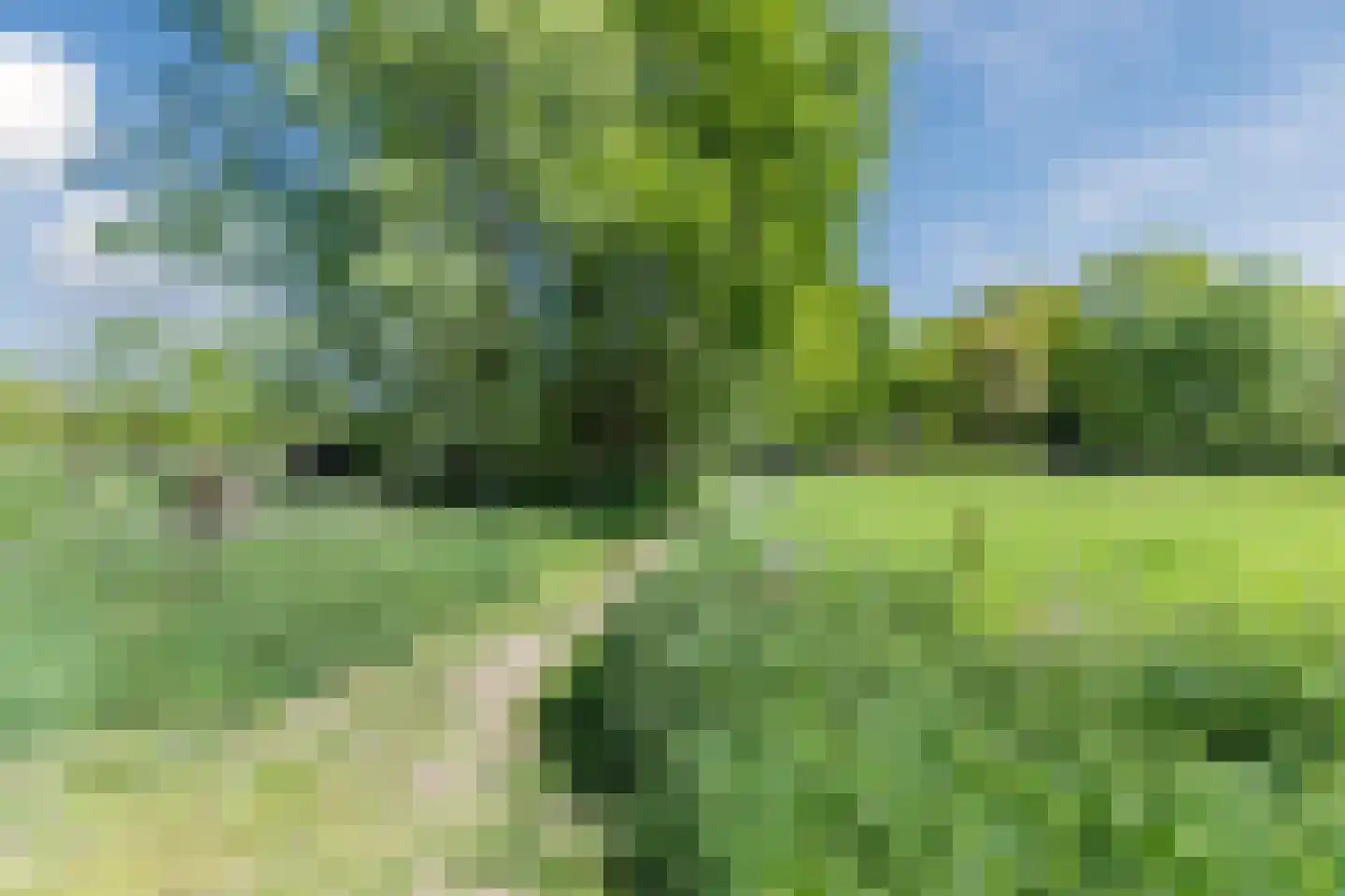De Voren 1 Hapert thumbnail 55