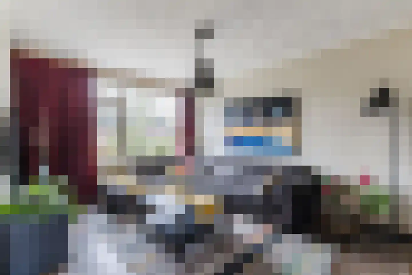 De Voren 1 Hapert thumbnail 7