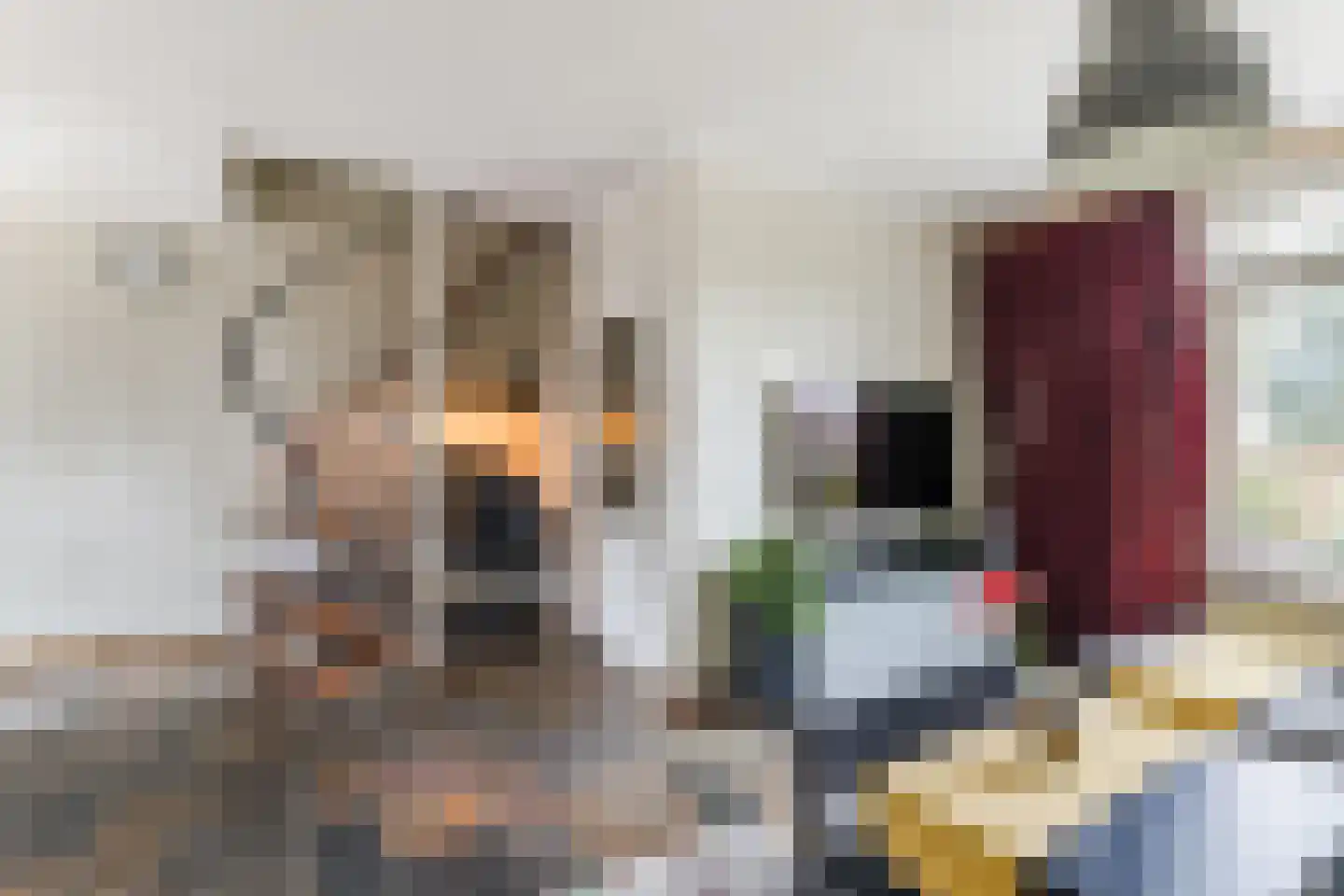 De Voren 1 Hapert thumbnail 9