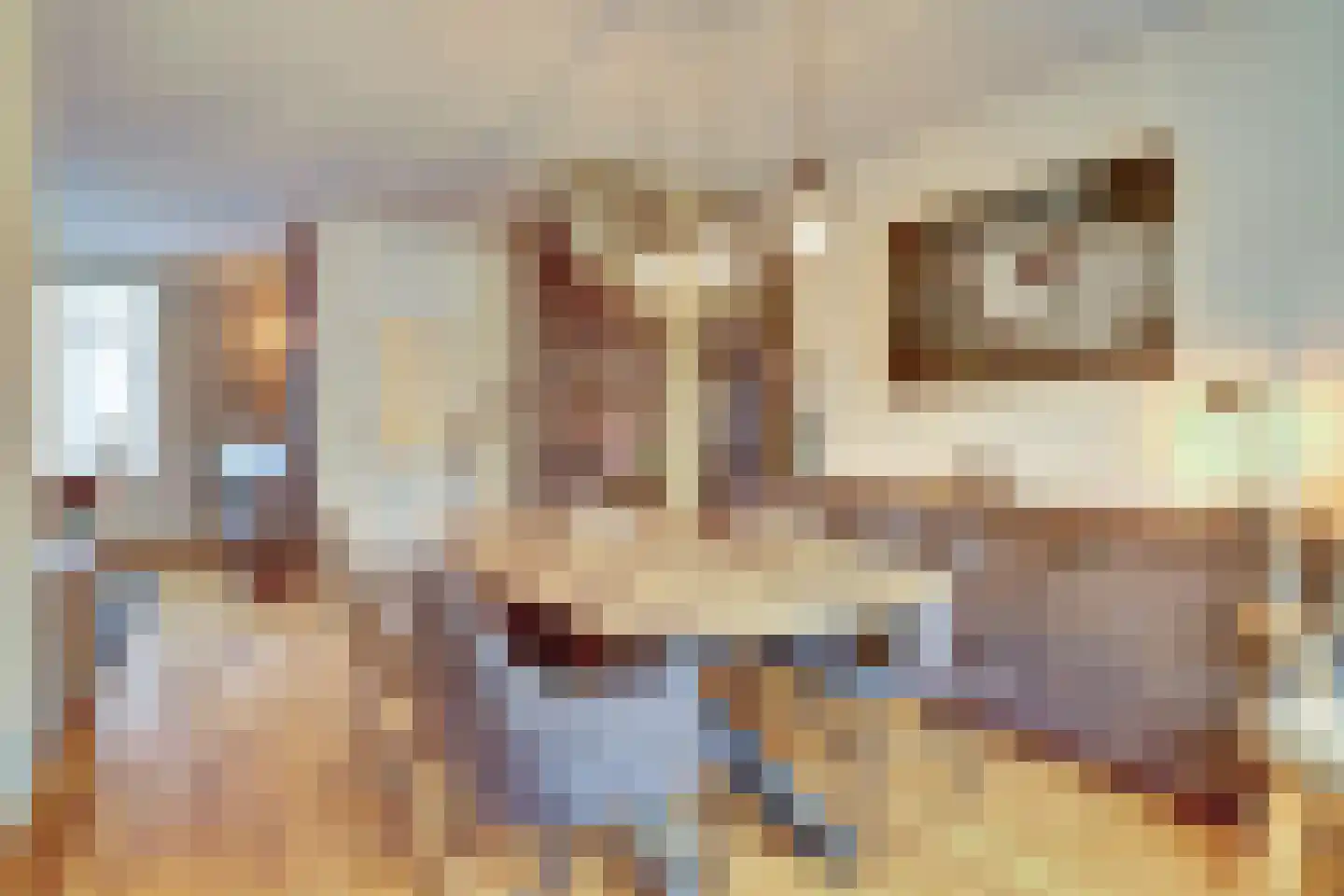 De Voren 2 Hapert thumbnail 10