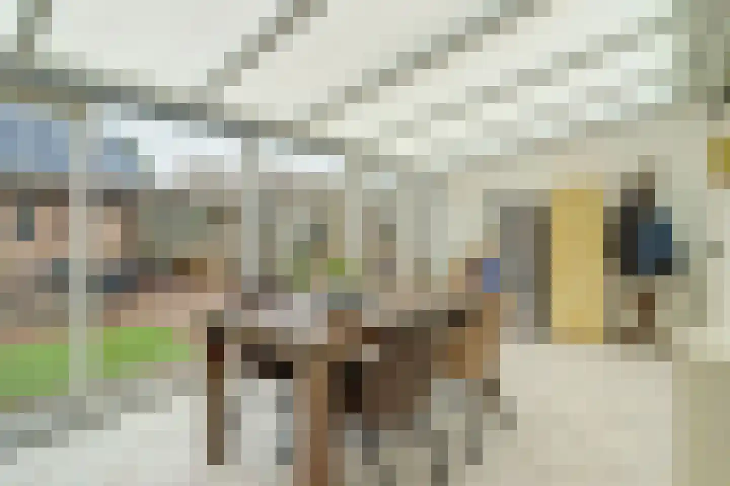 De Voren 2 Hapert thumbnail 17