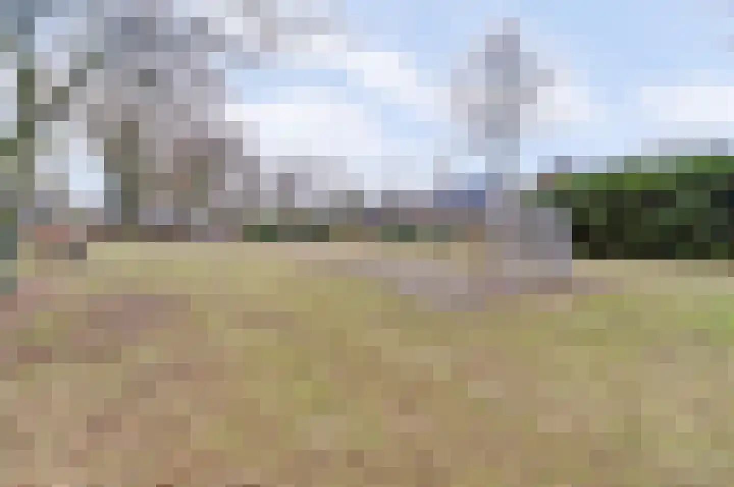 De Voren 2 Hapert thumbnail 37