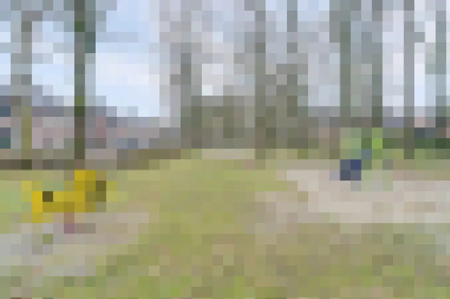 De Voren 2 Hapert thumbnail 38