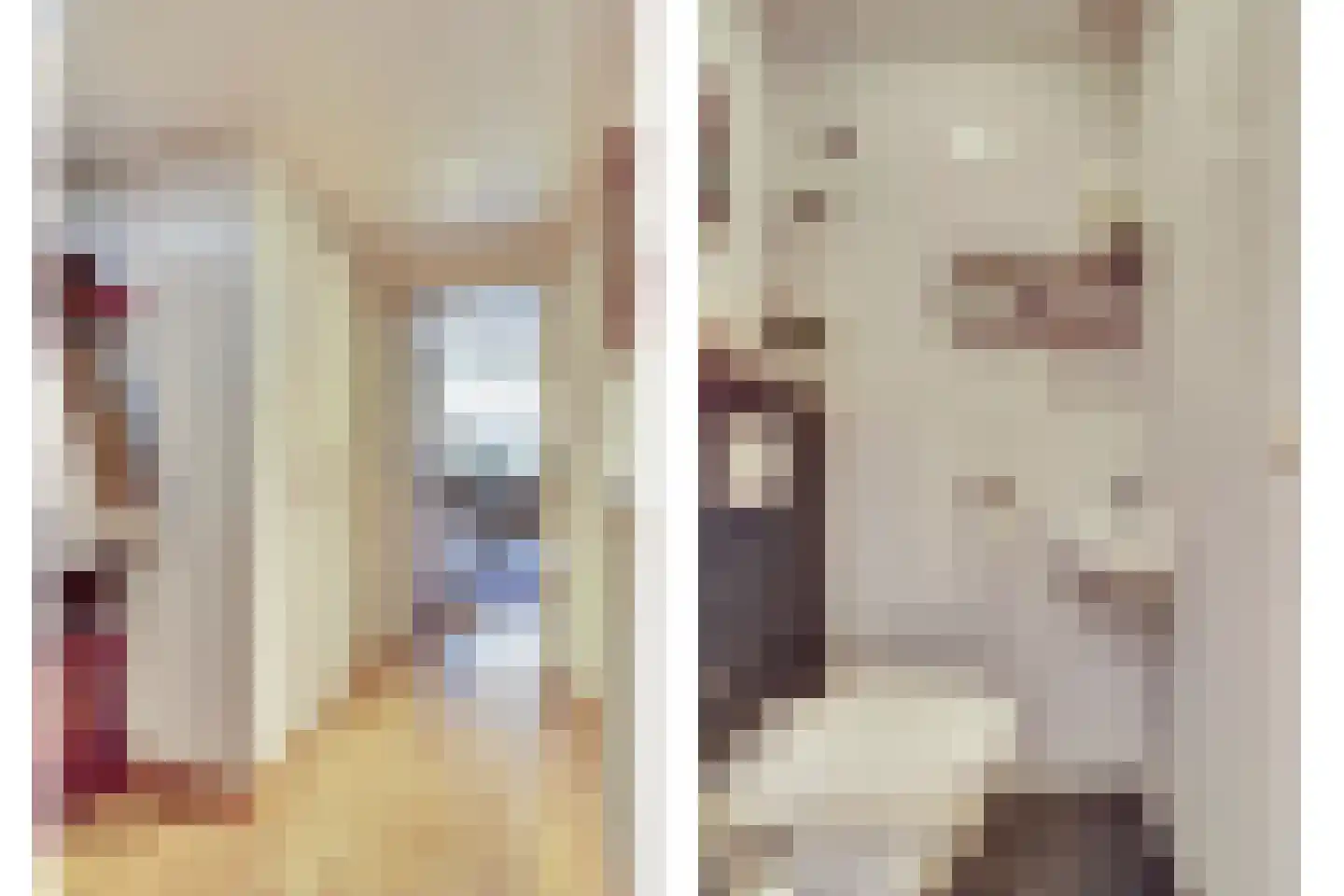 De Voren 2 Hapert thumbnail 4