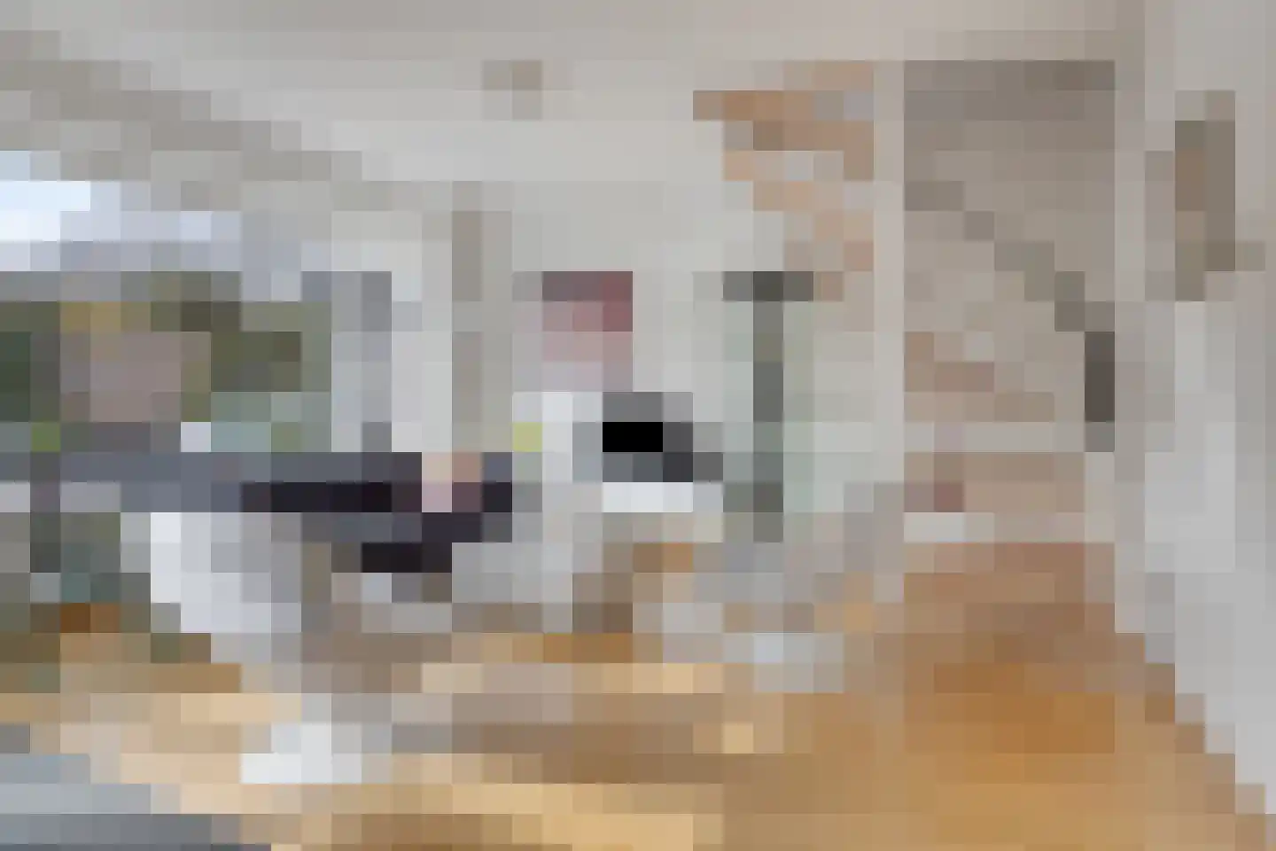 de Vorster 8 Oirschot thumbnail 11