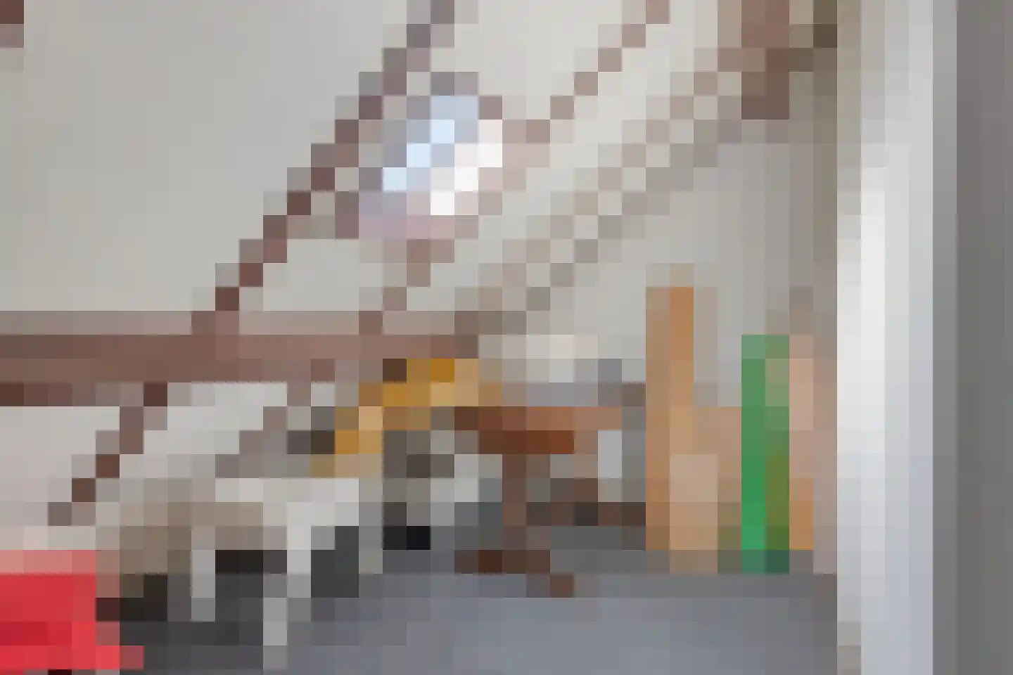 de Vorster 8 Oirschot thumbnail 33