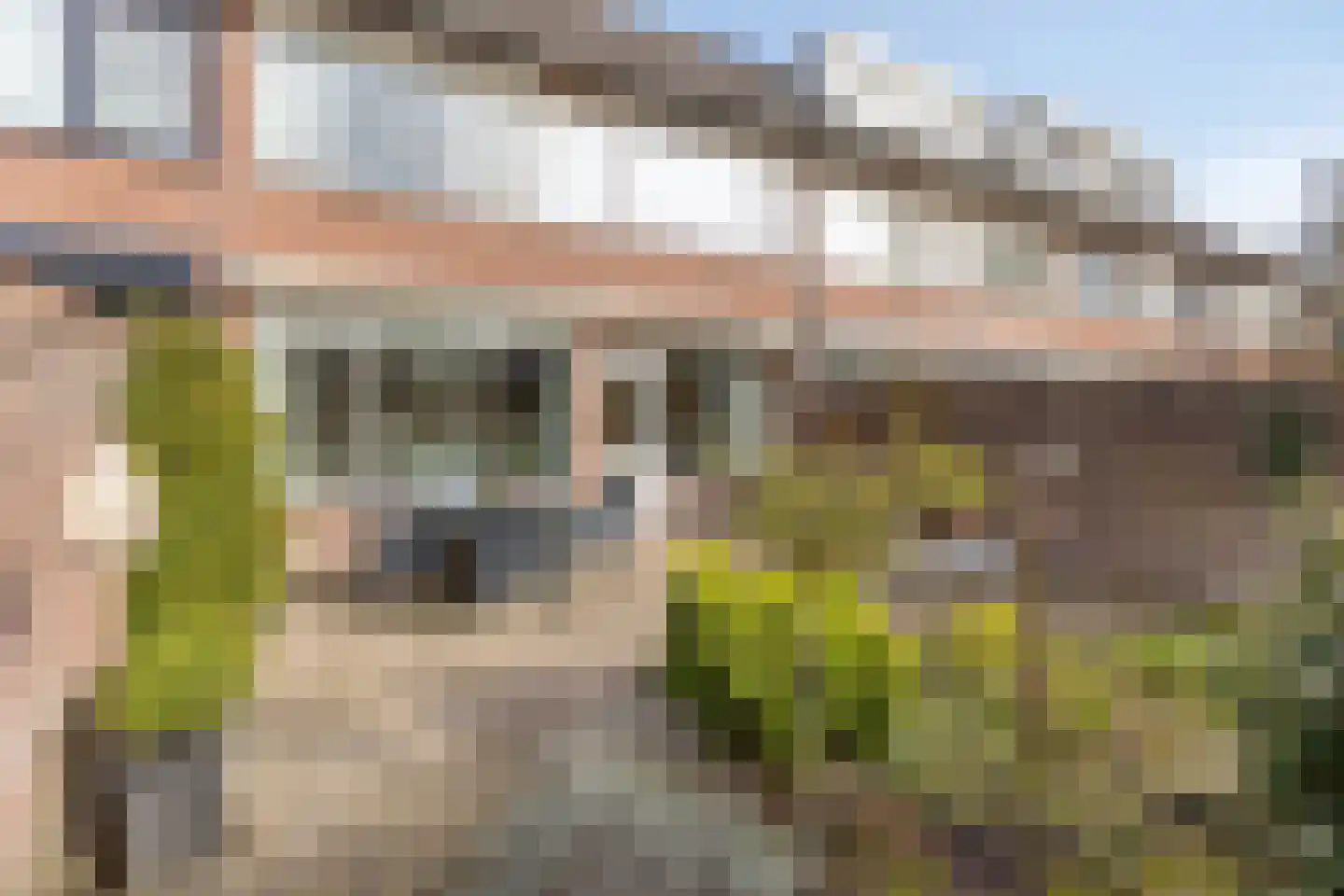 de Vorster 8 Oirschot thumbnail 37