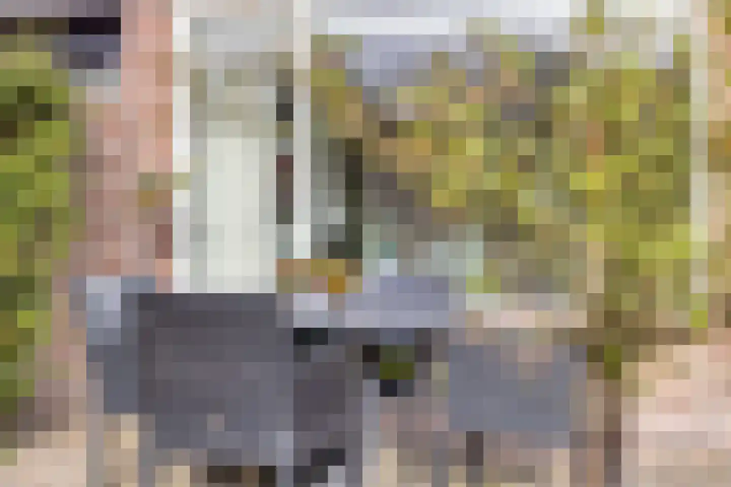 de Vorster 8 Oirschot thumbnail 39