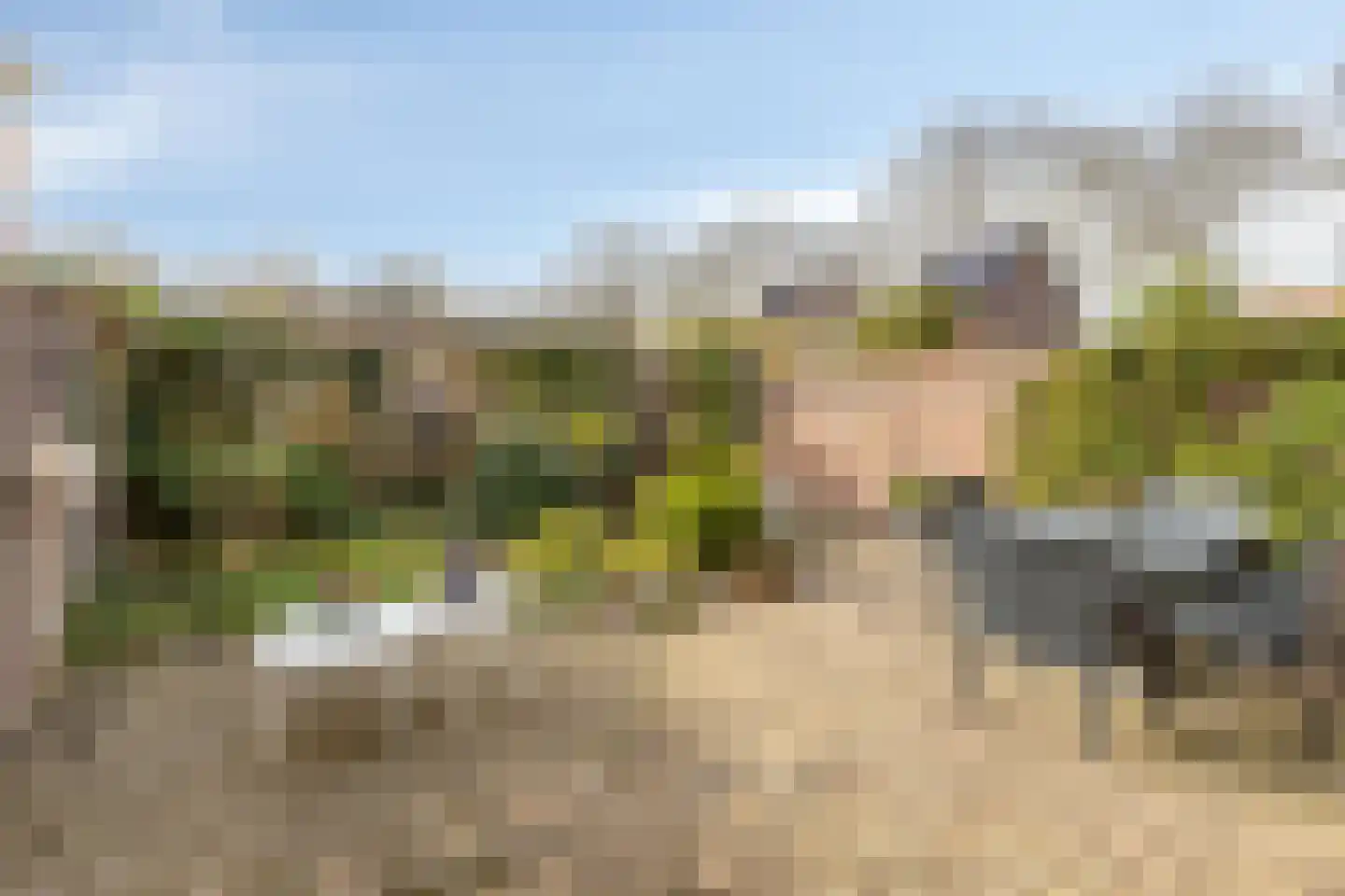de Vorster 8 Oirschot thumbnail 5