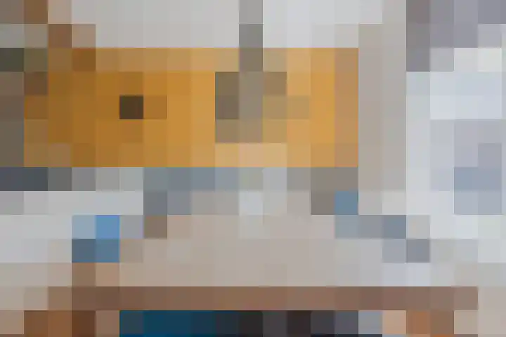 De Vos van Steenwijklaan 13 Hoogeveen thumbnail 11