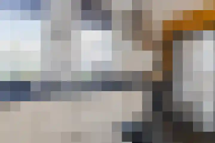 De Vos van Steenwijklaan 13 Hoogeveen thumbnail 12