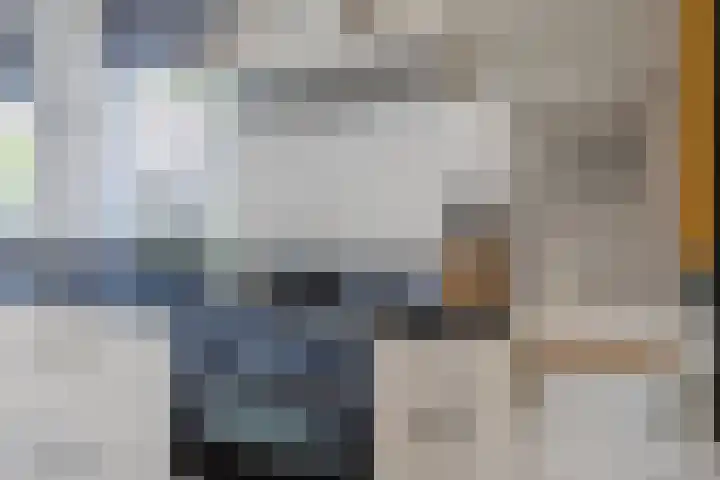 De Vos van Steenwijklaan 13 Hoogeveen thumbnail 13