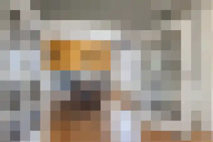 De Vos van Steenwijklaan 13 Hoogeveen thumbnail 15
