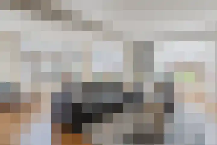 De Vos van Steenwijklaan 13 Hoogeveen thumbnail 17