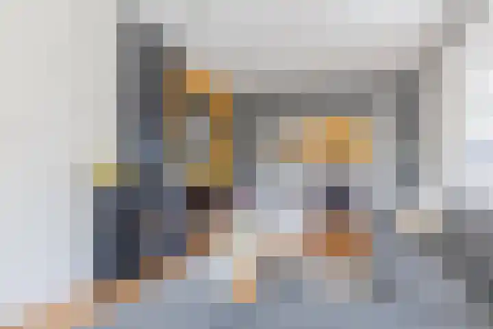 De Vos van Steenwijklaan 13 Hoogeveen thumbnail 18