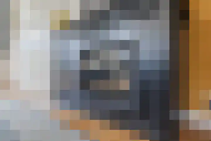 De Vos van Steenwijklaan 13 Hoogeveen thumbnail 21