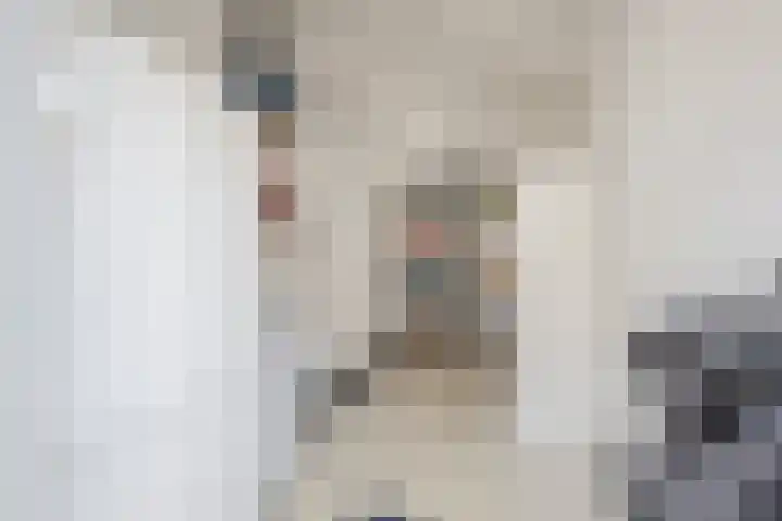 De Vos van Steenwijklaan 13 Hoogeveen thumbnail 27