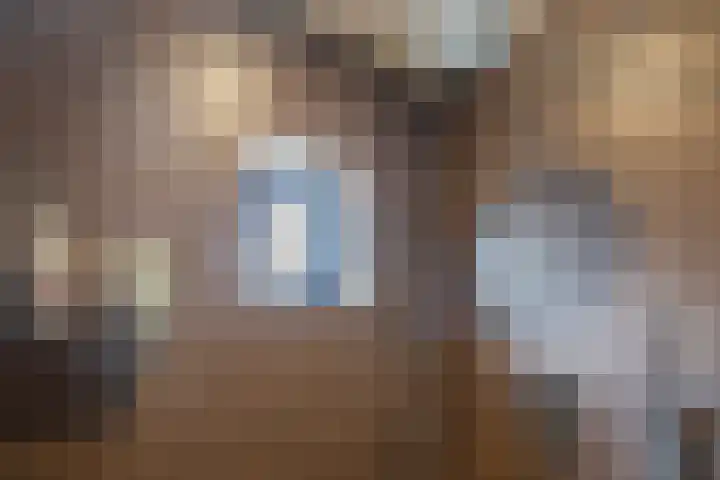 De Vos van Steenwijklaan 13 Hoogeveen thumbnail 28