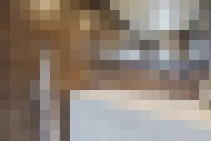 De Vos van Steenwijklaan 13 Hoogeveen thumbnail 29