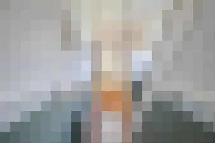 De Vos van Steenwijklaan 13 Hoogeveen thumbnail 30