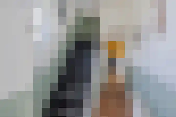 De Vos van Steenwijklaan 13 Hoogeveen thumbnail 31