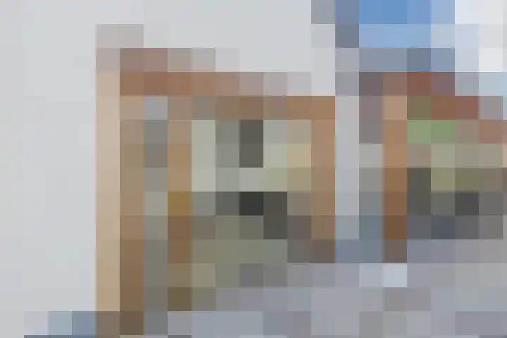 De Vos van Steenwijklaan 13 Hoogeveen thumbnail 47