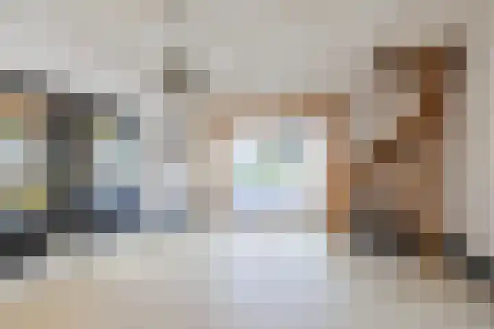 De Vos van Steenwijklaan 13 Hoogeveen thumbnail 49