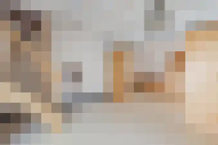 De Vos van Steenwijklaan 13 Hoogeveen thumbnail 50