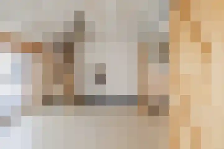 De Vos van Steenwijklaan 13 Hoogeveen thumbnail 52