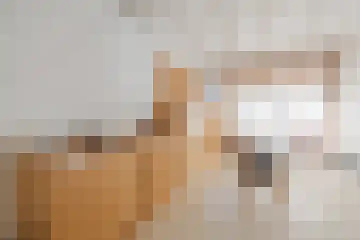De Vos van Steenwijklaan 13 Hoogeveen thumbnail 53