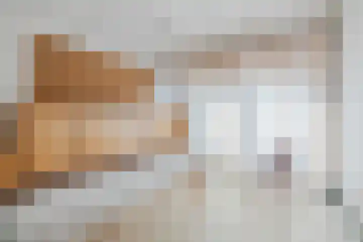 De Vos van Steenwijklaan 13 Hoogeveen thumbnail 55