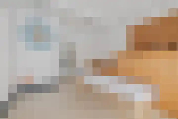 De Vos van Steenwijklaan 13 Hoogeveen thumbnail 56
