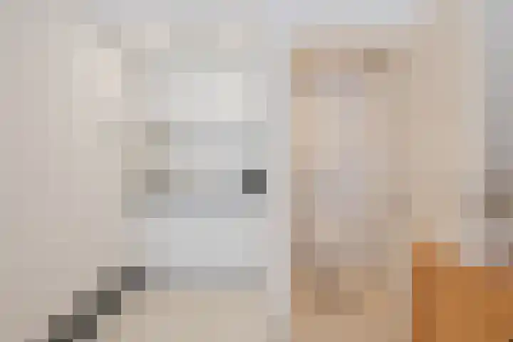 De Vos van Steenwijklaan 13 Hoogeveen thumbnail 57