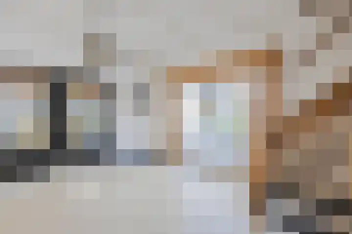 De Vos van Steenwijklaan 13 Hoogeveen thumbnail 58