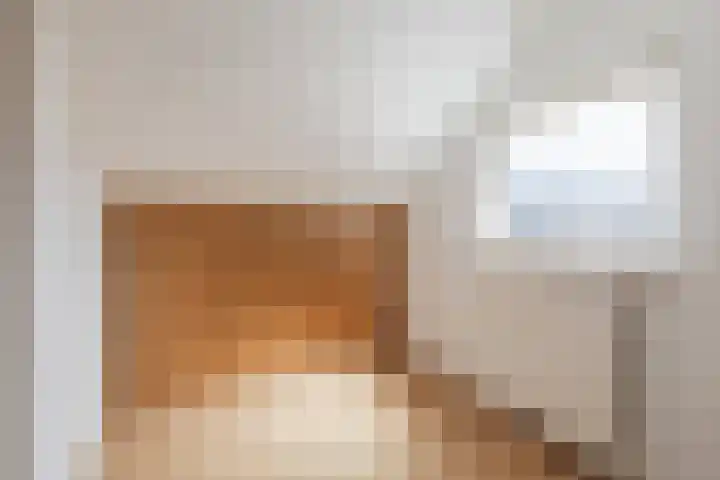 De Vos van Steenwijklaan 13 Hoogeveen thumbnail 61