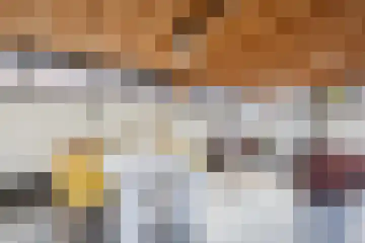 De Vos van Steenwijklaan 13 Hoogeveen thumbnail 64